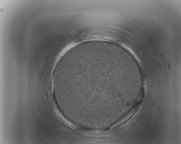 X0000087421371200704271726