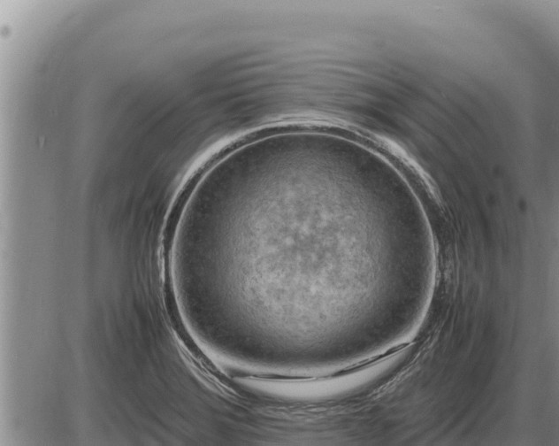 X0000087421372200704271726