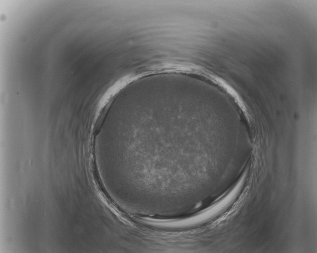 X0000087421373200704271726