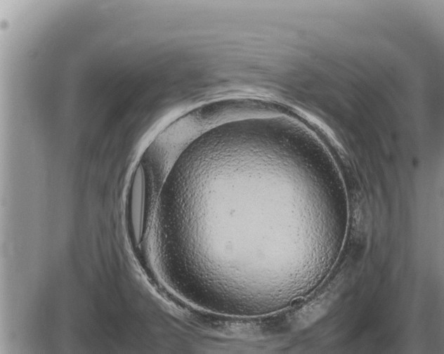 X0000087421375200704271726