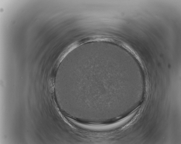 X0000087421377200704271726