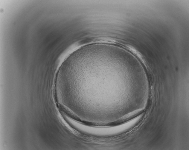 X0000087421379200704271726