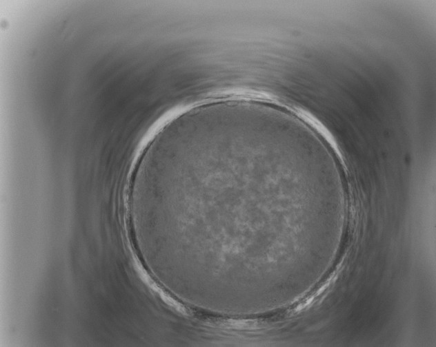 X0000087421381200704271726