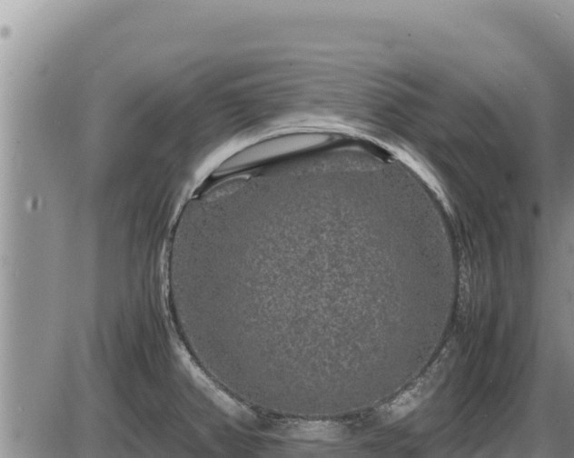 X0000087421382200704271726