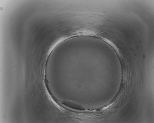 X0000087421383200704271726