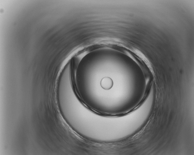 X0000087421384200704271726