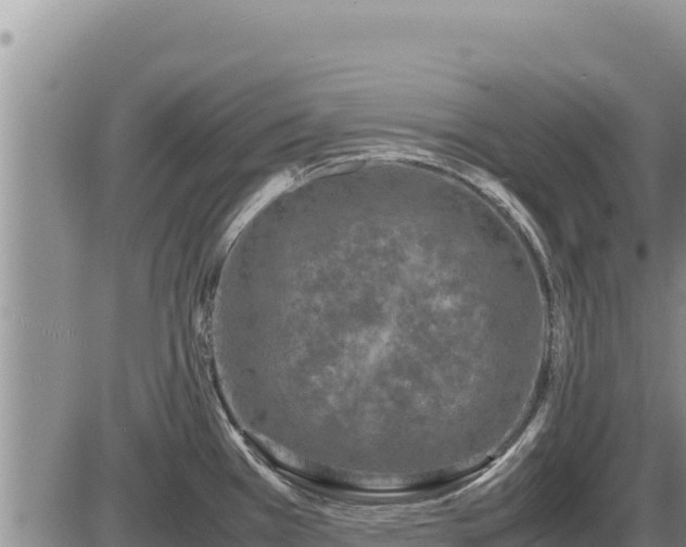 X0000087421385200704271726