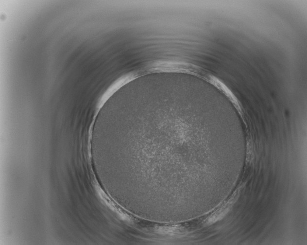 X0000087421386200704271726