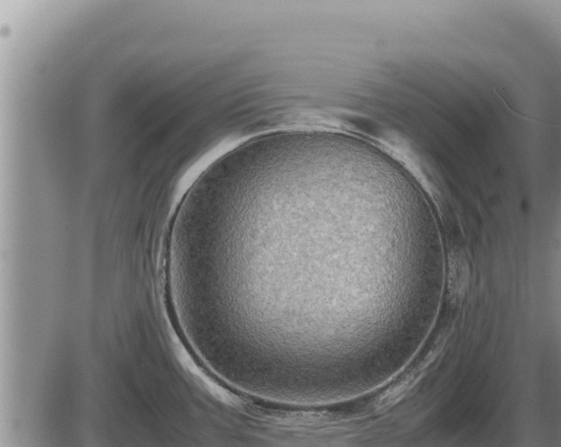 X0000087421387200704271726