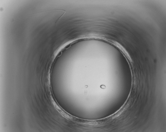 X0000087421388200704271726