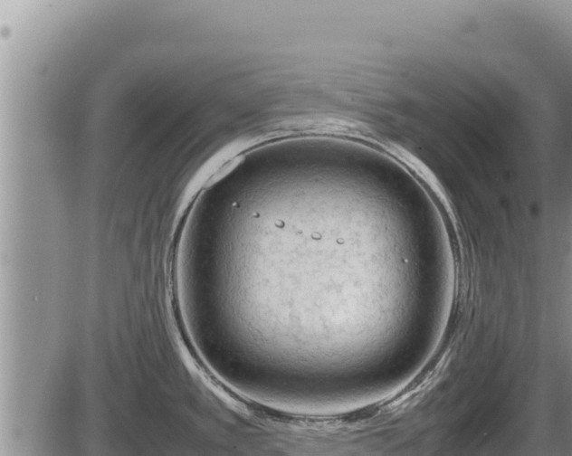 X0000087421389200704271726