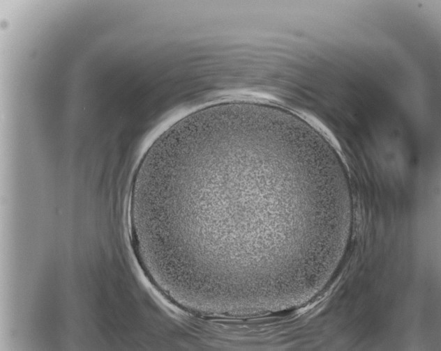 X0000087421391200704271726