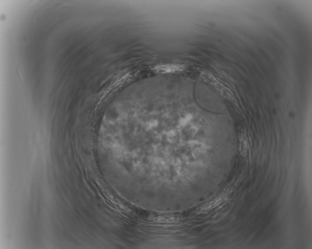 X0000087421393200704271725