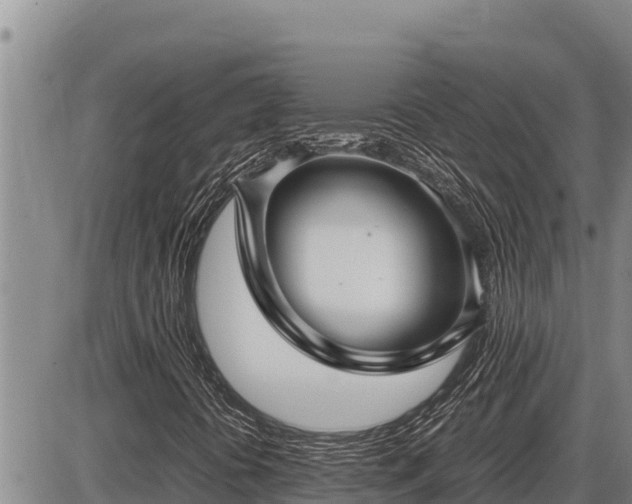 X0000087421394200704271725