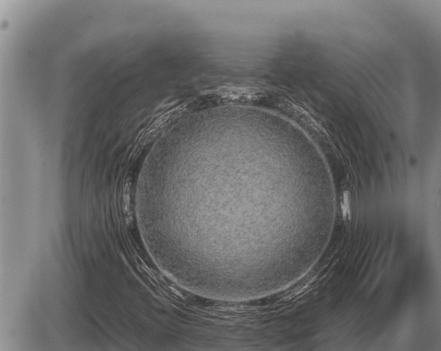 X0000087421396200704271725