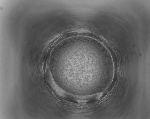 X0000087421398200704271725