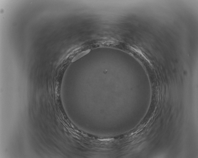 X0000087421399200704271725