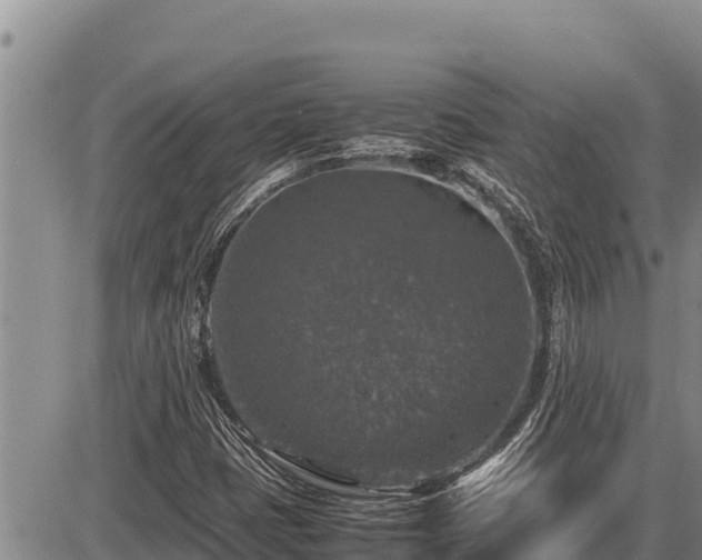 X0000087421401200704271725