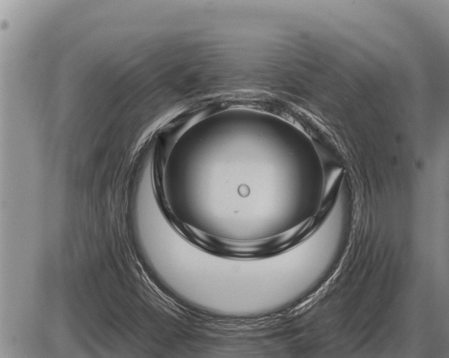 X0000087421402200704271725