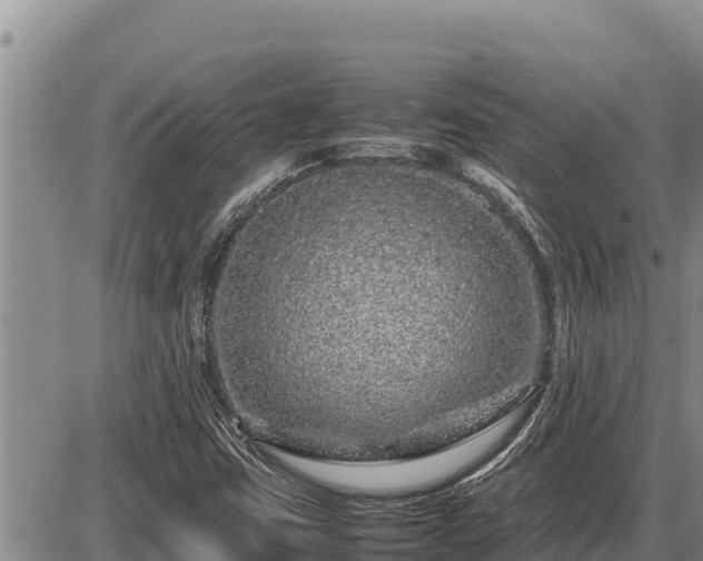 X0000087421403200704271725