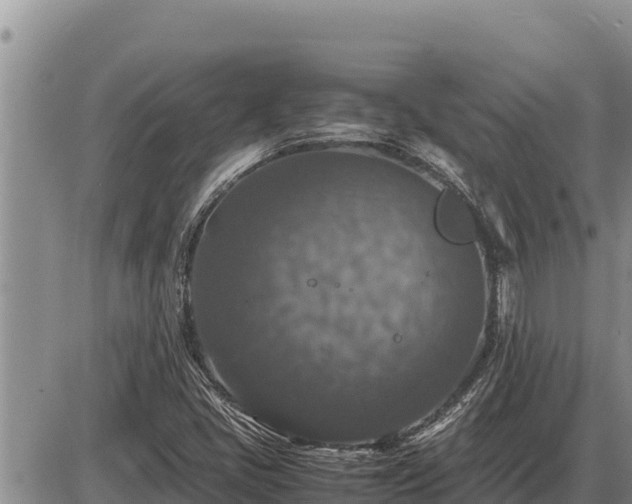 X0000087421405200704271725