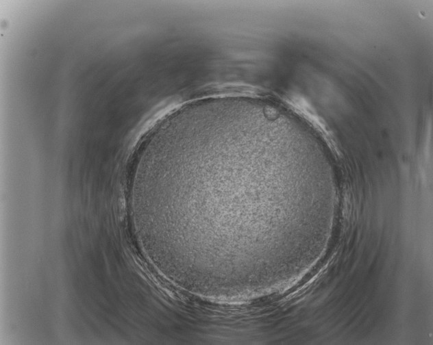 X0000087421407200704271725