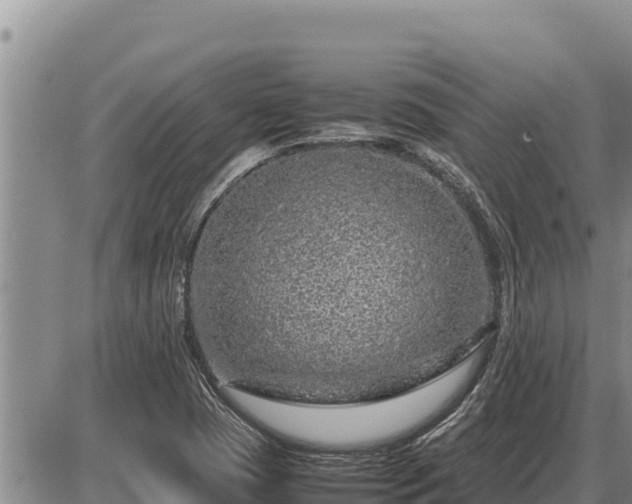 X0000087421409200704271725