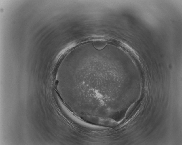 X0000087421411200704271726