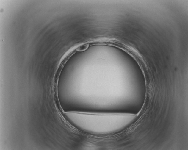 X0000087421412200704271726