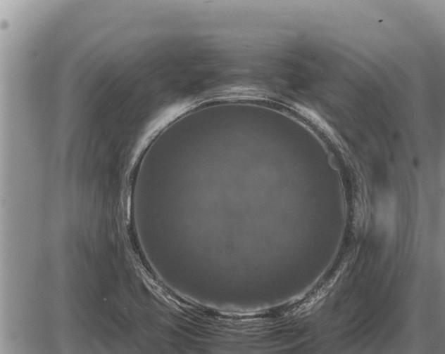 X0000087421413200704271726