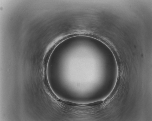 X0000087421414200704271726