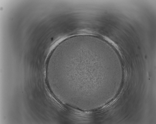 X0000087421415200704271726