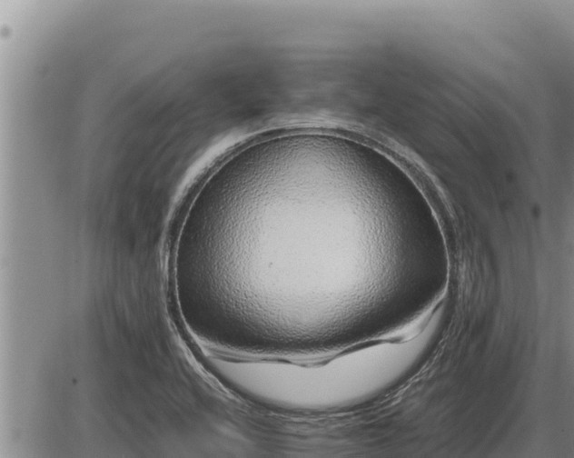 X0000087421416200704271726