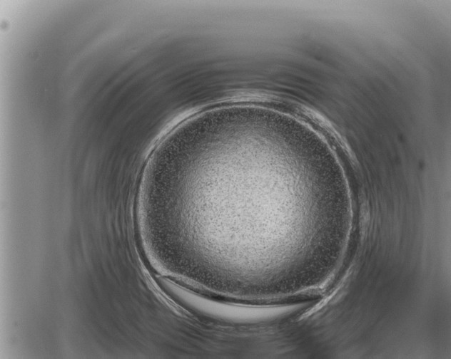 X0000087421417200704271726