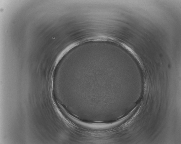 X0000087421418200704271726