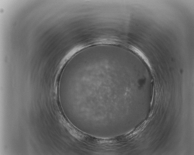 X0000087421419200704271726