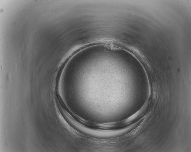 X0000087421422200704271726