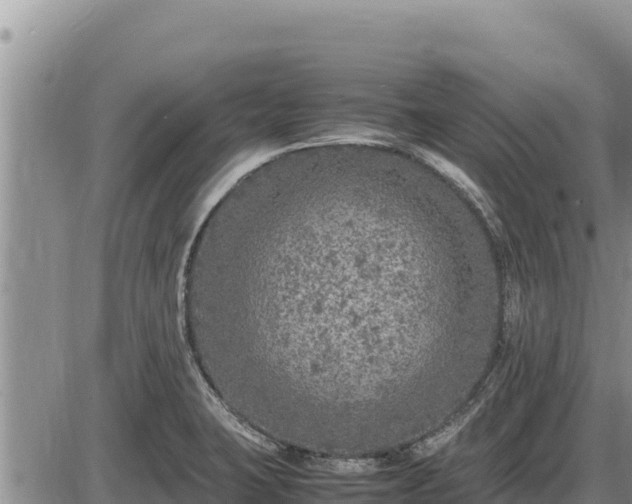 X0000087421423200704271726