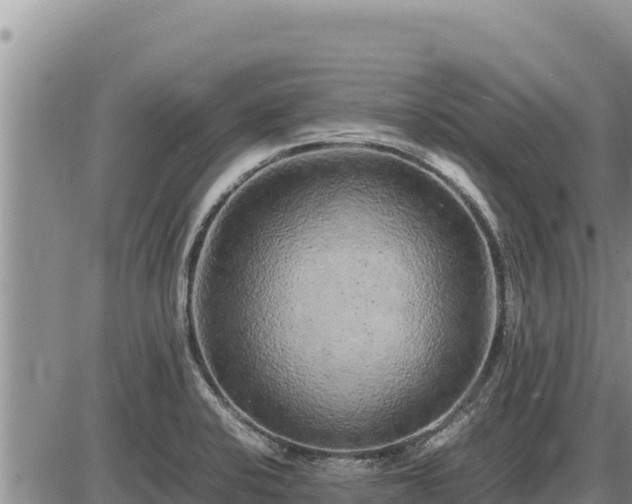 X0000087421424200704271726