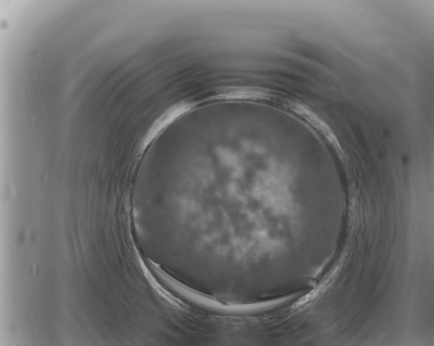 X0000087421425200704271726