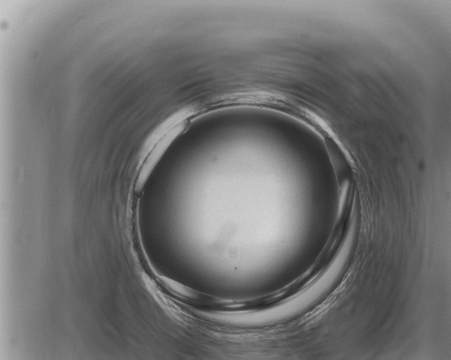 X0000087421426200704271726