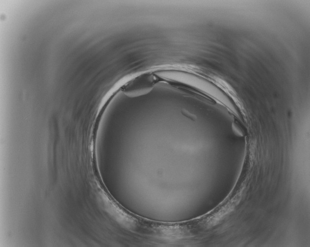 X0000087421428200704271726