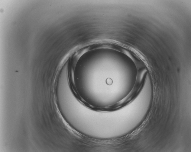 X0000087421430200704271726