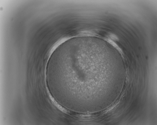 X0000087421431200704271726