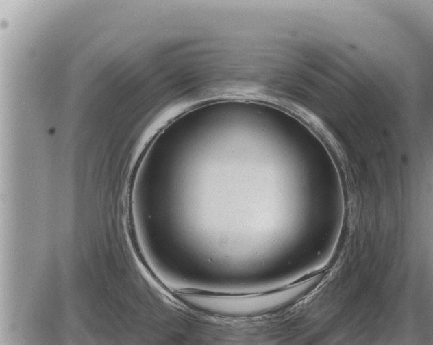 X0000087421432200704271726