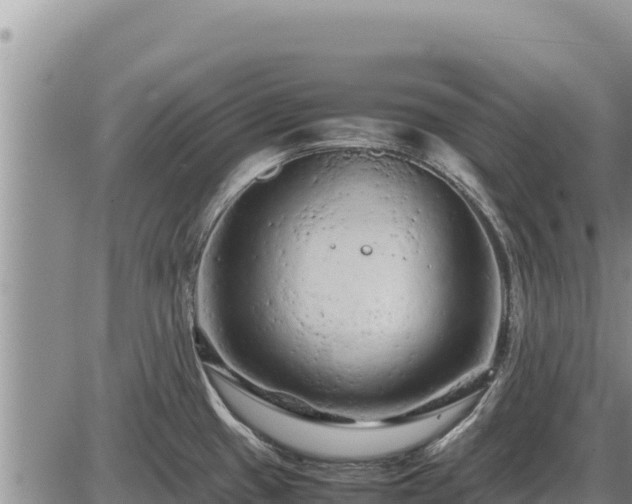 X0000087421433200704271726