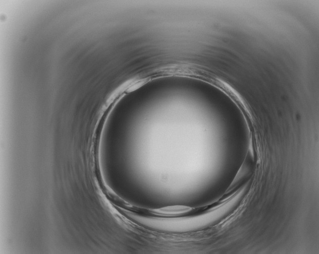 X0000087421434200704271726