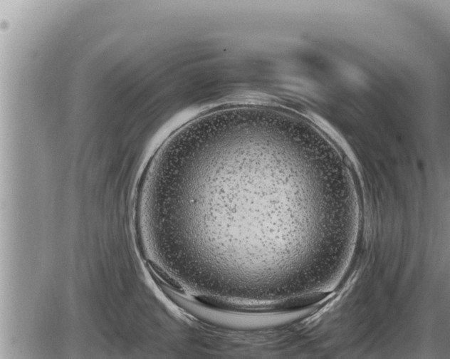 X0000087421437200704271726