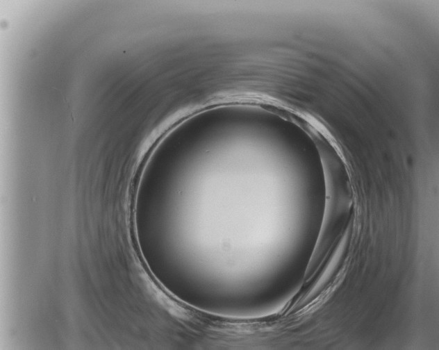 X0000087421438200704271726