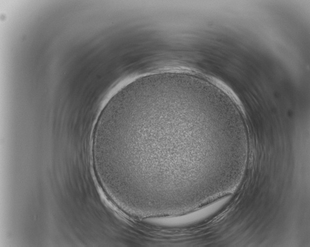 X0000087421439200704271726